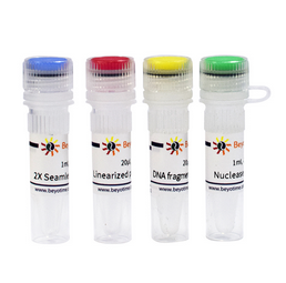 Seamless Cloning Kit (无缝克隆试剂盒) 