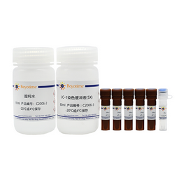 线粒体膜电位检测试剂盒(JC-1) 